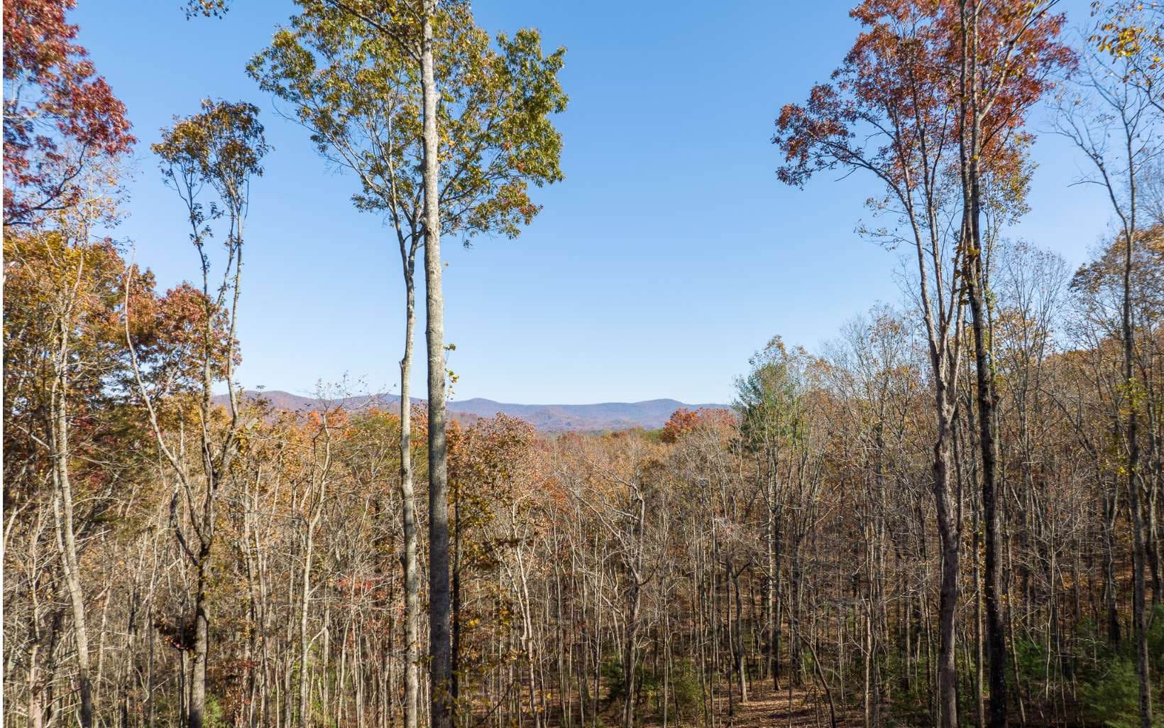 19R Settlement Trail, Ellijay GA 30536 - Photo