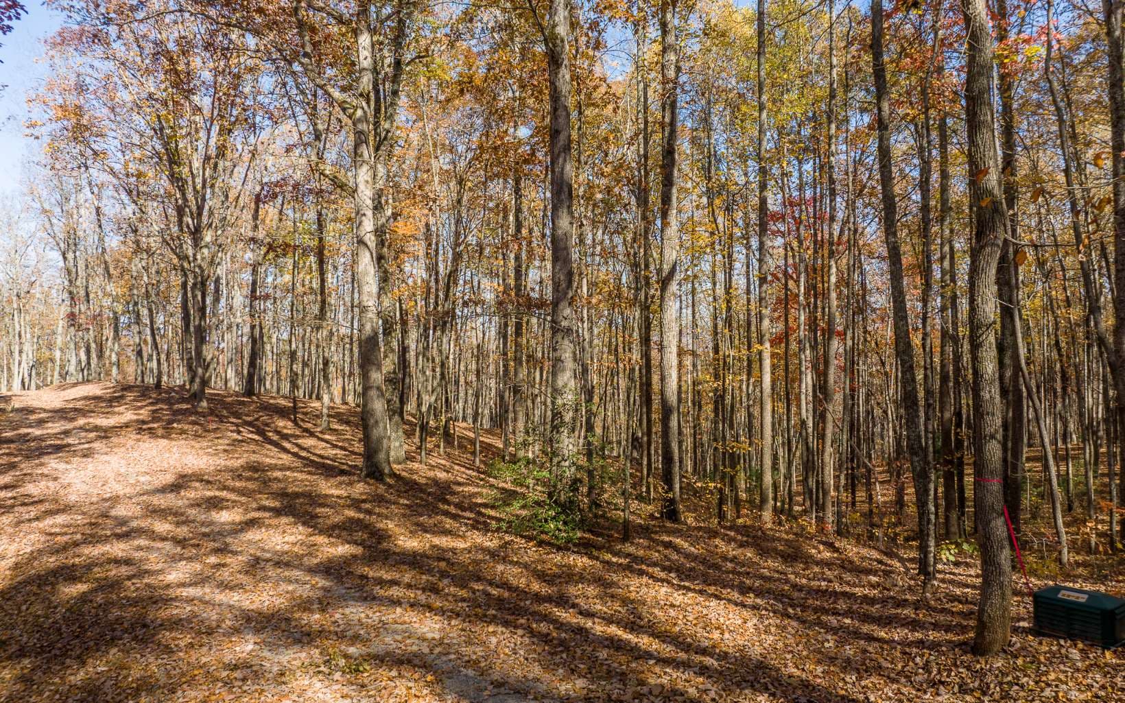 19R Settlement Trail, Ellijay GA 30536 - Photo