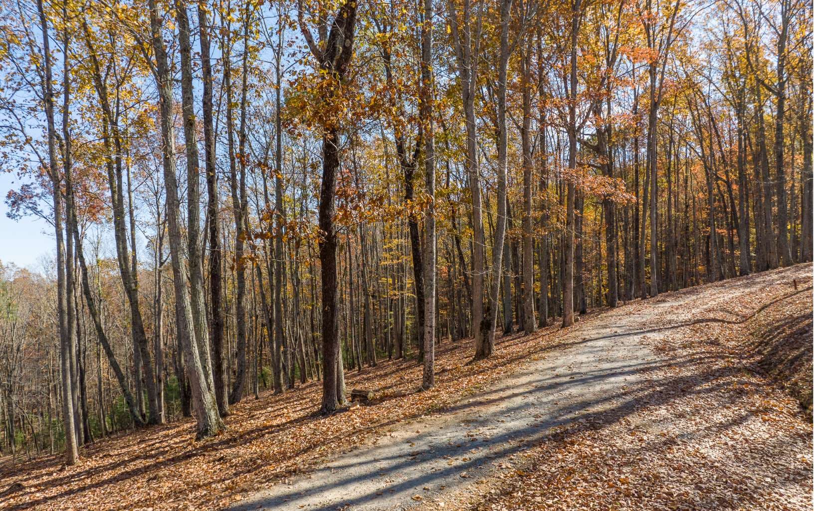 19R Settlement Trail, Ellijay GA 30536 - Photo