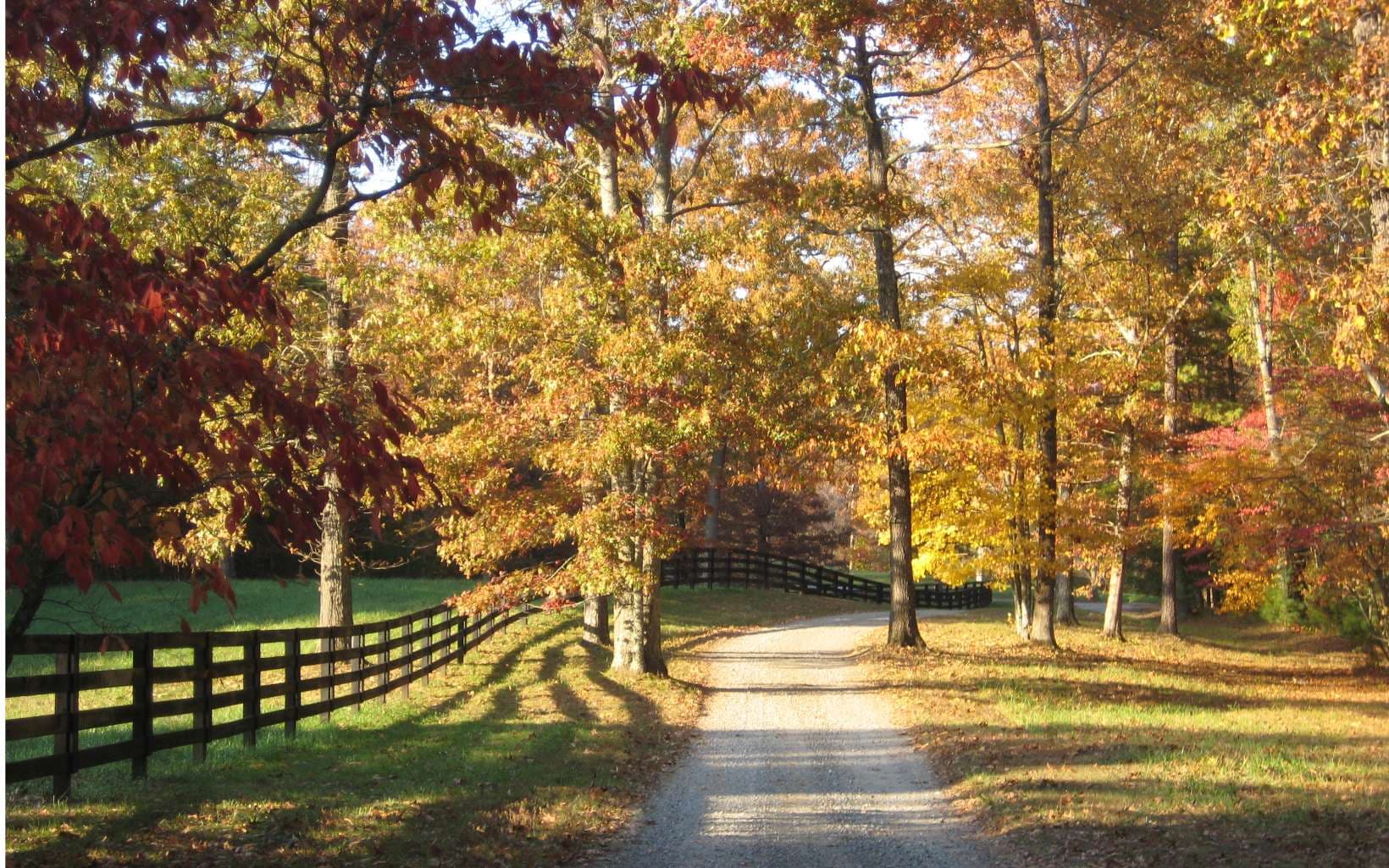 19R Settlement Trail, Ellijay GA 30536 - Photo