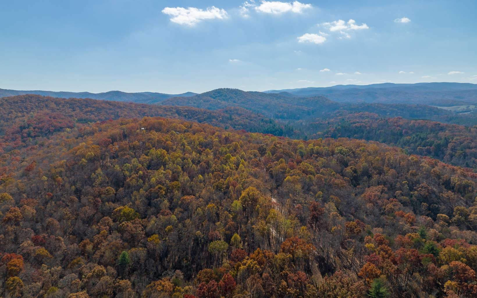 19R Settlement Trail, Ellijay GA 30536 - Photo