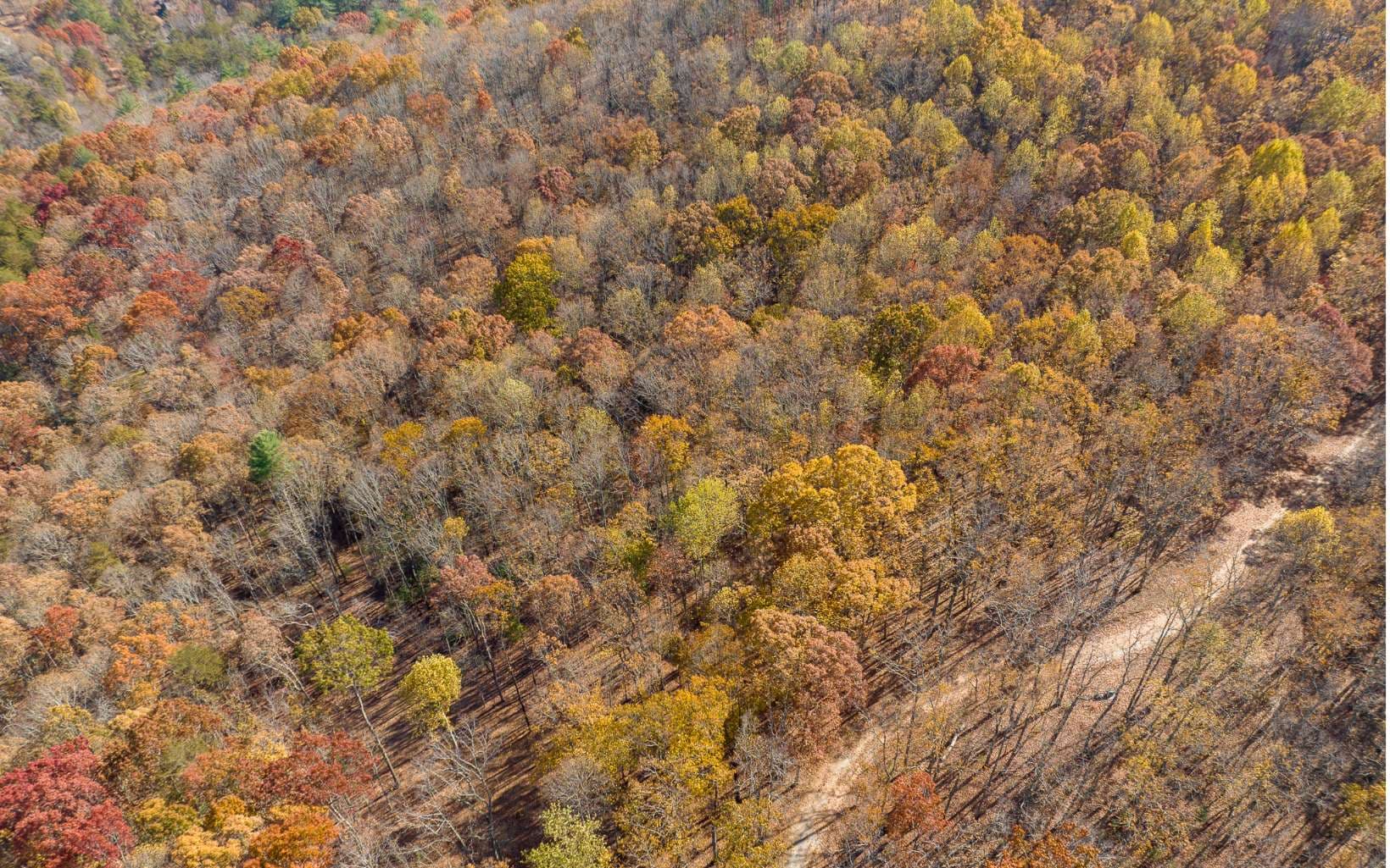 19R Settlement Trail, Ellijay GA 30536 - Photo