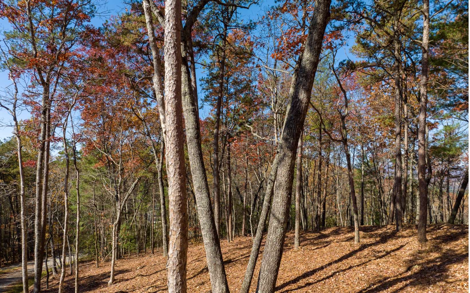 Lot 41 Preserve Trail, Ellijay GA 30536 - Photo
