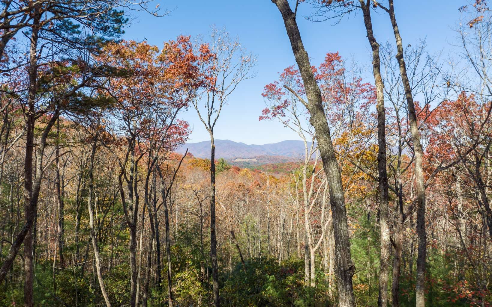 Lot 41 Preserve Trail, Ellijay GA 30536 - Photo