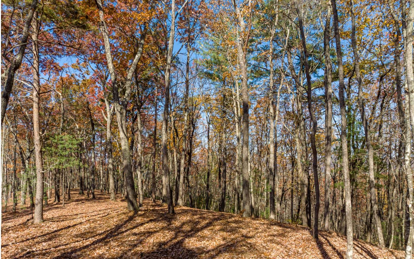 Lot 41 Preserve Trail, Ellijay GA 30536 - Photo