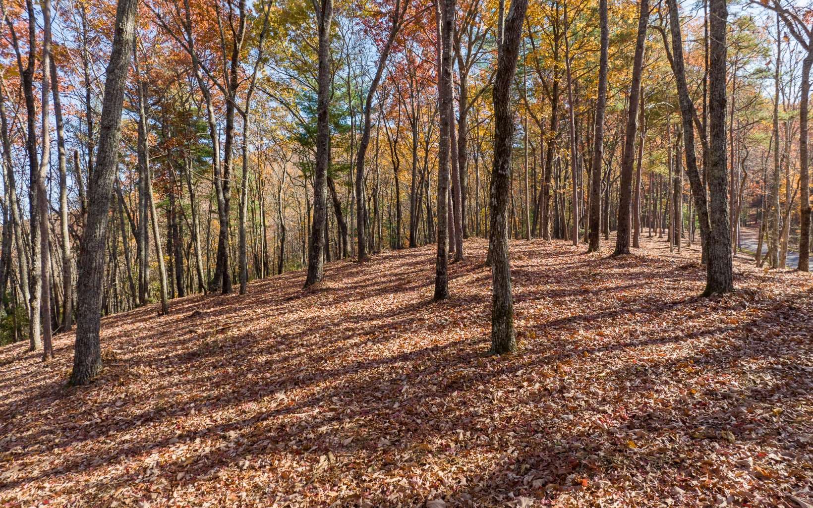 Lot 41 Preserve Trail, Ellijay GA 30536 - Photo