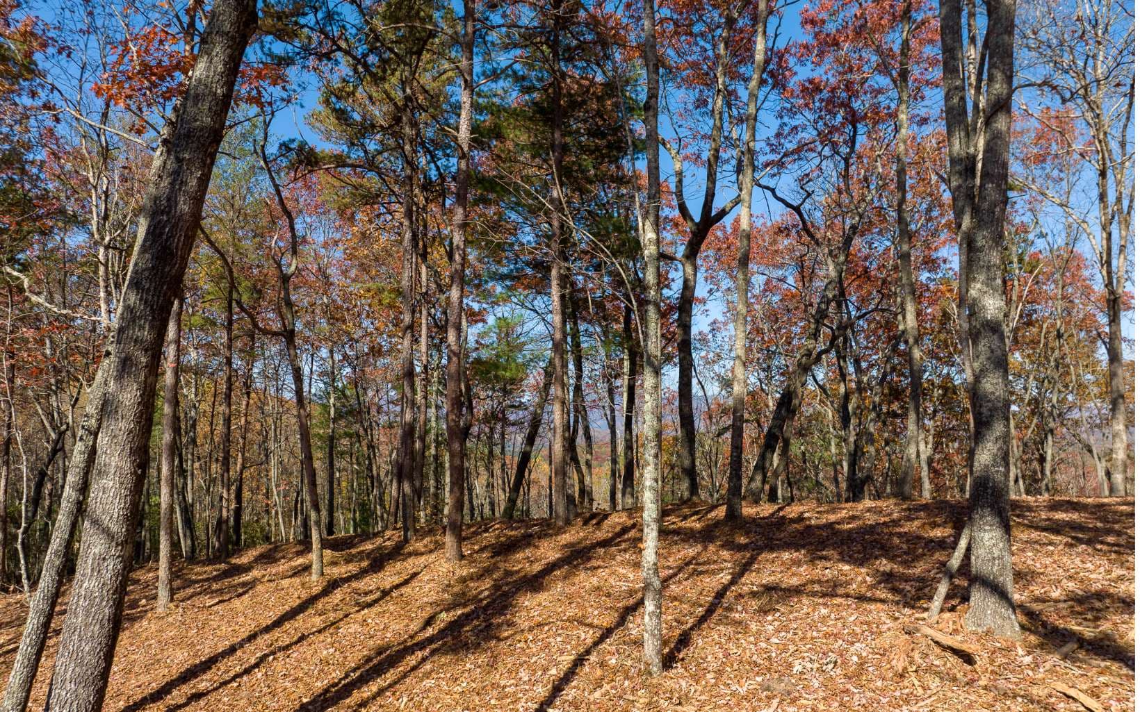 Lot 41 Preserve Trail, Ellijay GA 30536 - Primary photo