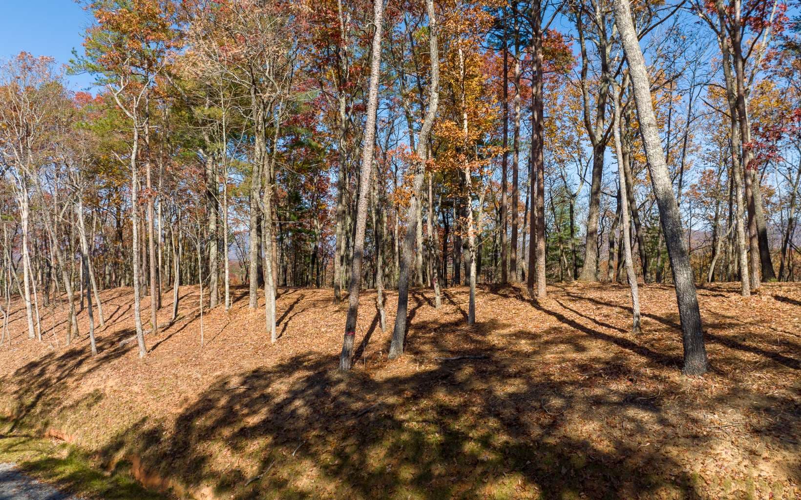 Lot 41 Preserve Trail, Ellijay GA 30536 - Photo