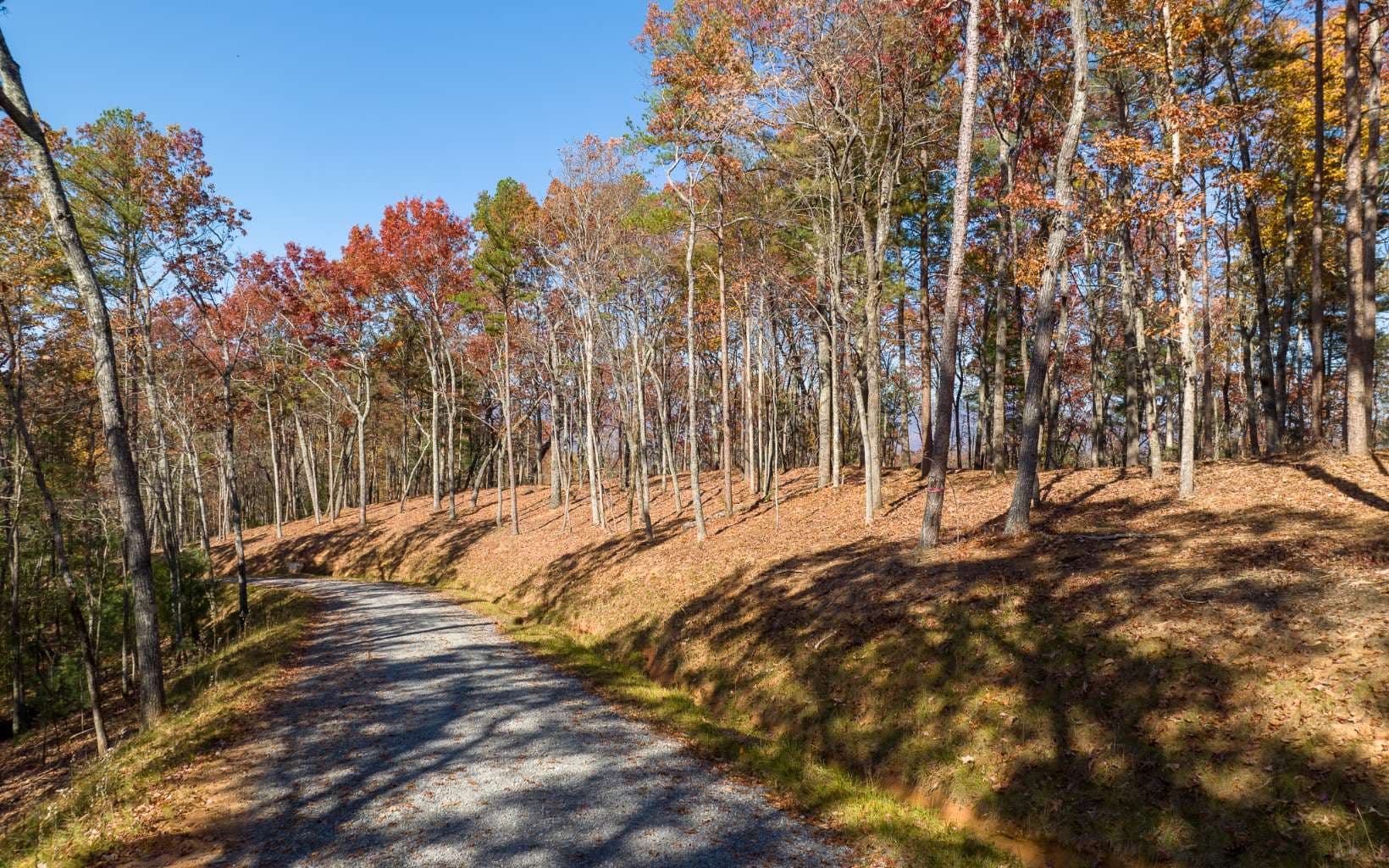 Lot 41 Preserve Trail, Ellijay GA 30536 - Photo