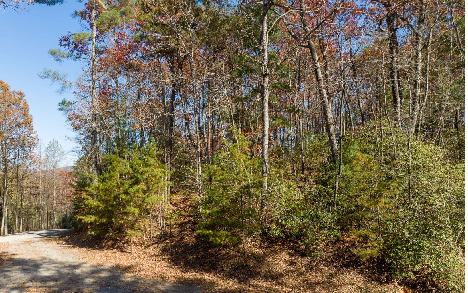 Lot 41 Preserve Trail, Ellijay GA 30536 - Photo