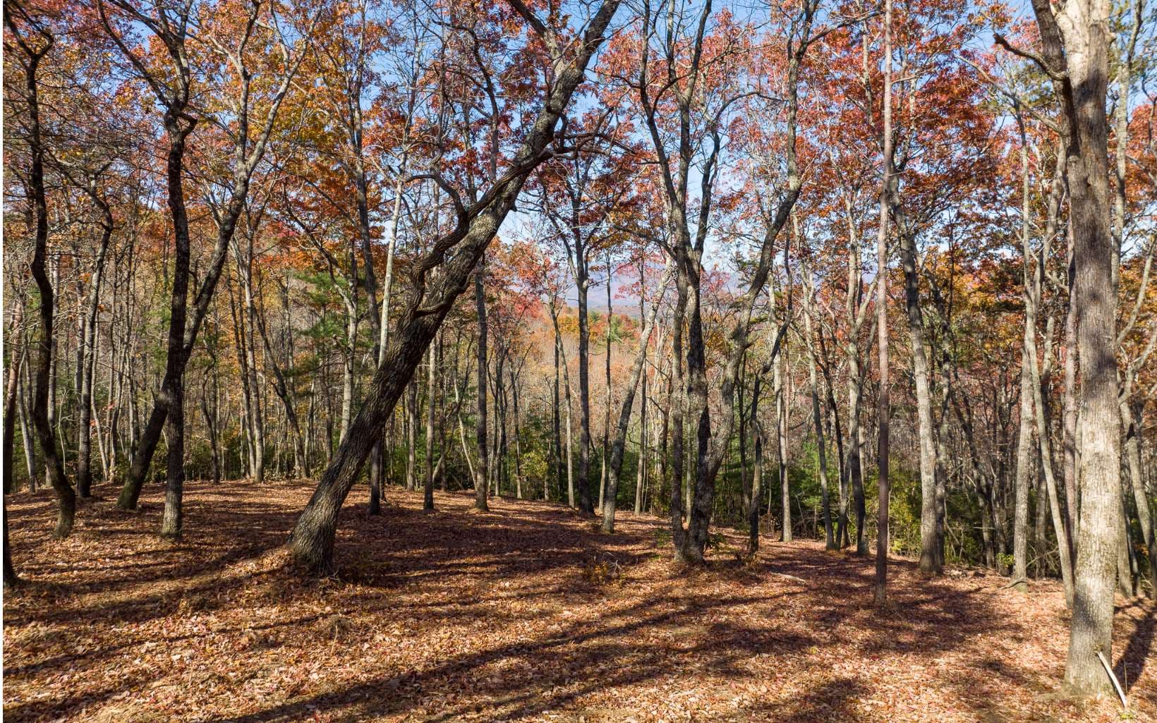 Lot 41 Preserve Trail, Ellijay GA 30536 - Photo