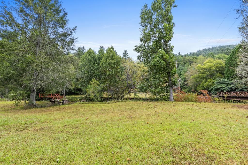 269 Brown Mountain Drive, Suches GA 30572 - Photo