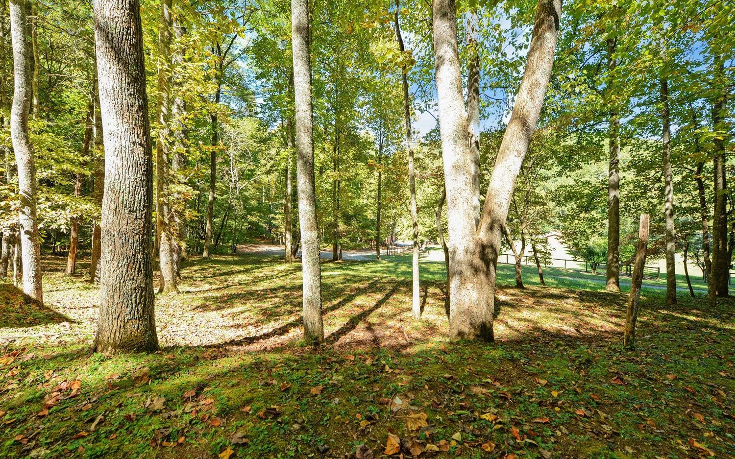 269 Brown Mountain Drive, Suches GA 30572 - Photo