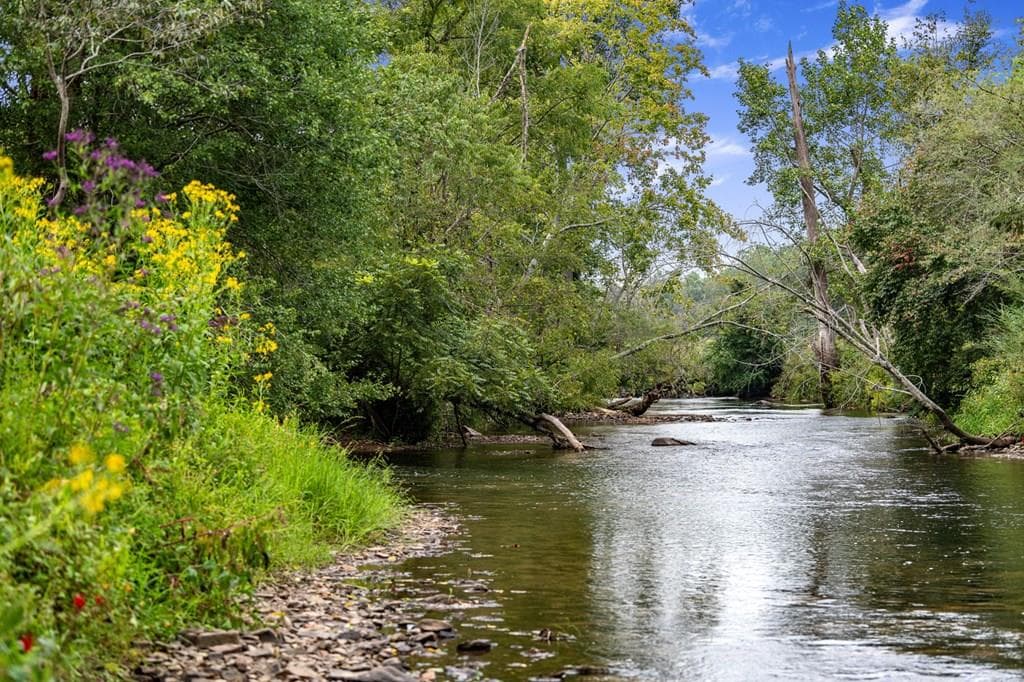 60 East Conasauga Creek, Ellijay GA 30540 - Primary photo