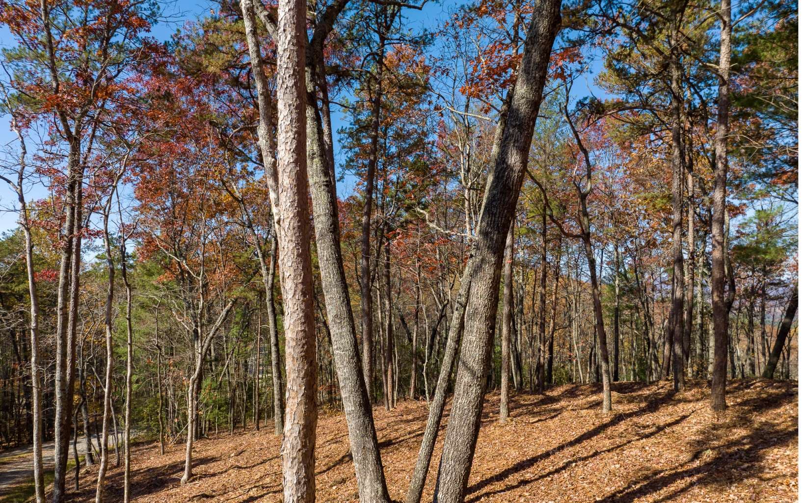 LOT 40 Preserve Trail, Ellijay GA 30536 - Photo