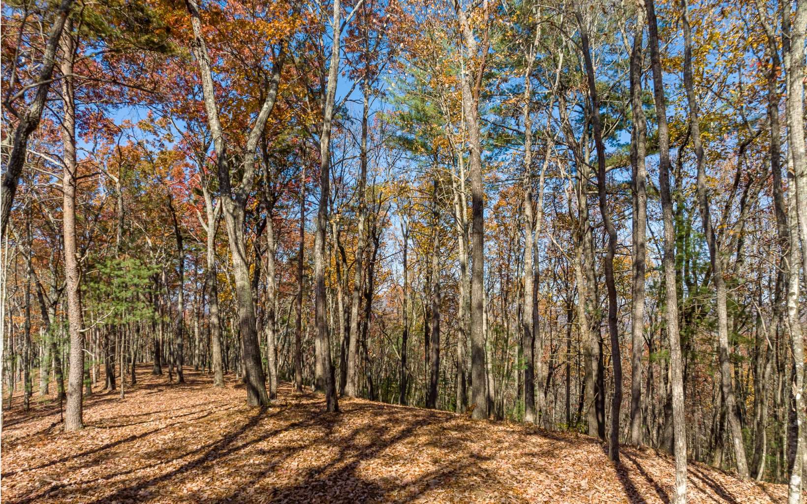 LOT 40 Preserve Trail, Ellijay GA 30536 - Photo
