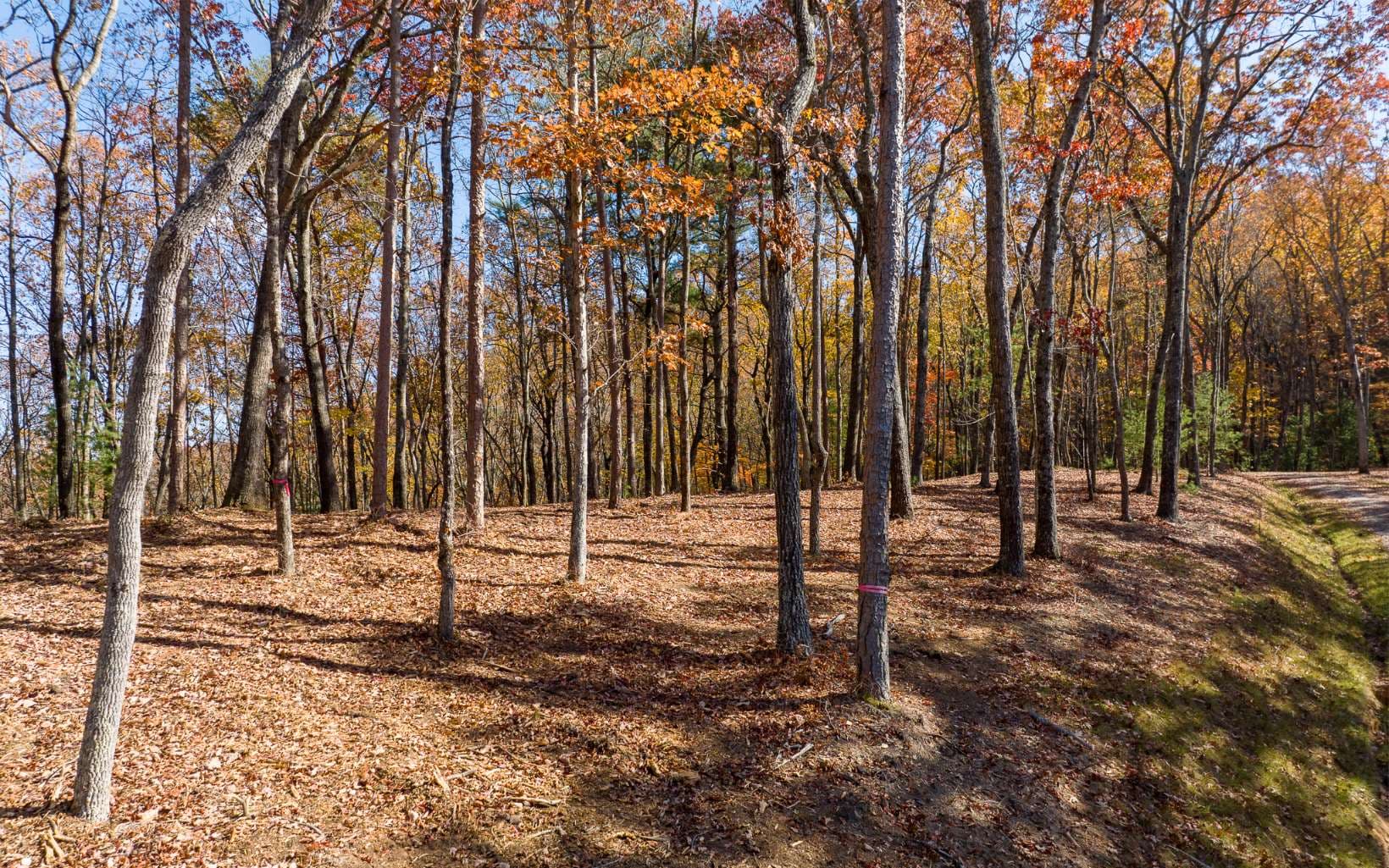 LOT 40 Preserve Trail, Ellijay GA 30536 - Photo