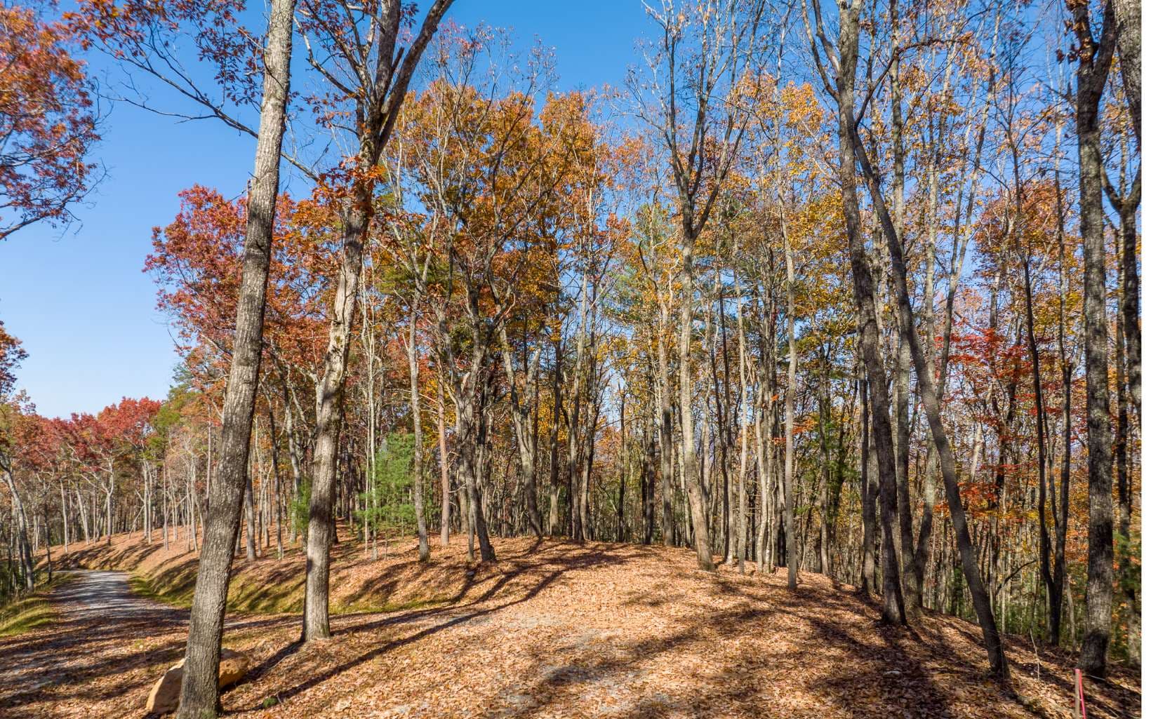LOT 40 Preserve Trail, Ellijay GA 30536 - Photo