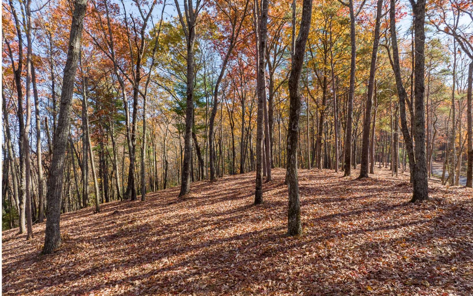 LOT 40 Preserve Trail, Ellijay GA 30536 - Photo