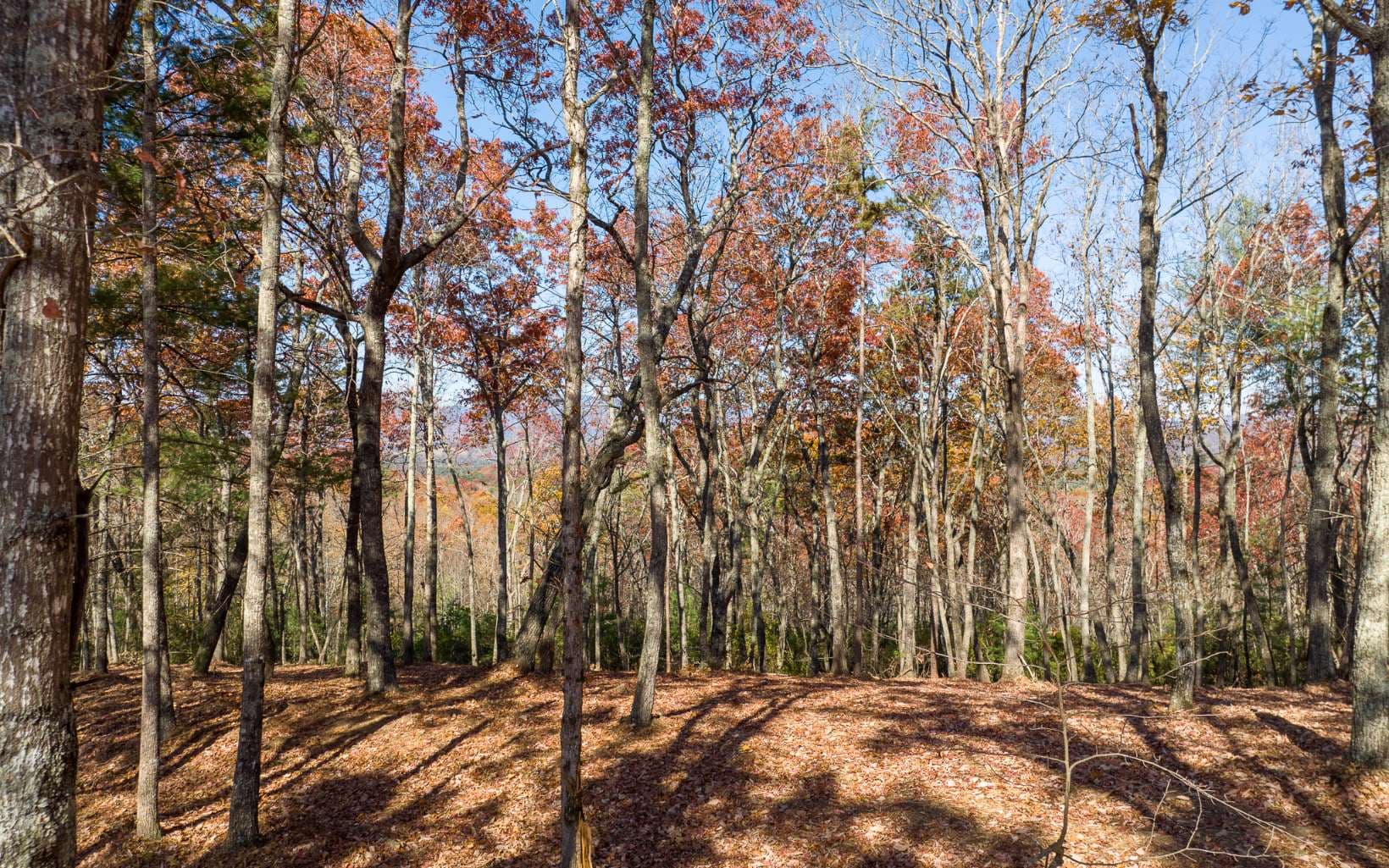 LOT 40 Preserve Trail, Ellijay GA 30536 - Photo