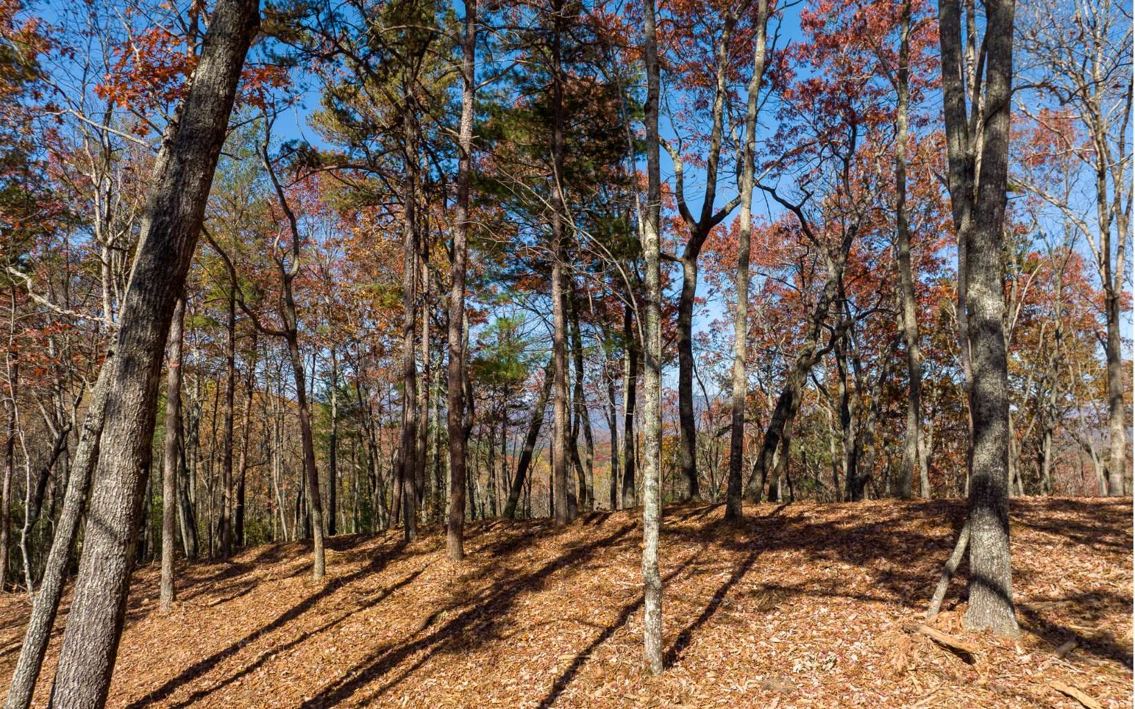 LOT 40 Preserve Trail, Ellijay GA 30536 - Primary photo