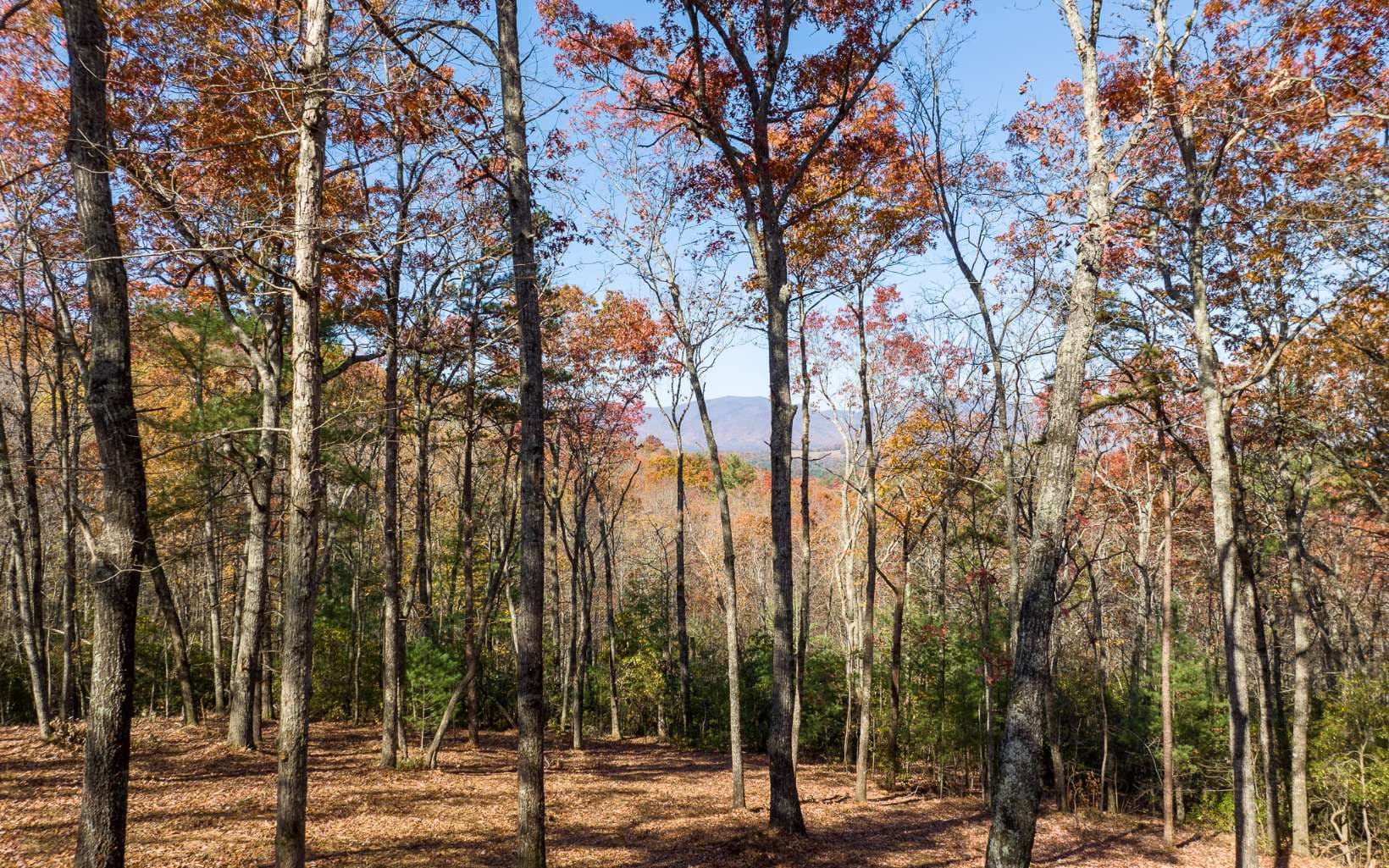 LOT 40 Preserve Trail, Ellijay GA 30536 - Photo