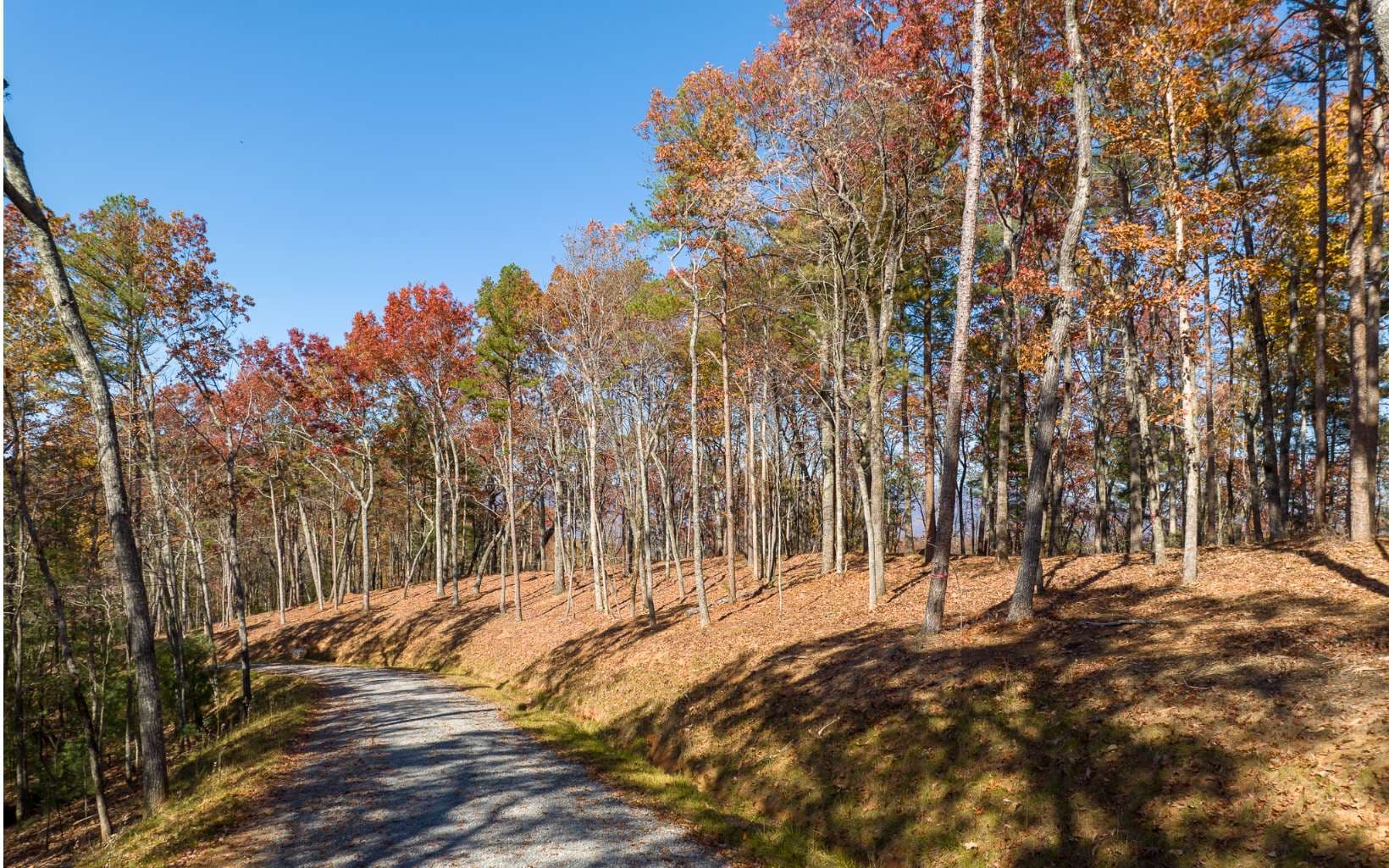 LOT 40 Preserve Trail, Ellijay GA 30536 - Photo