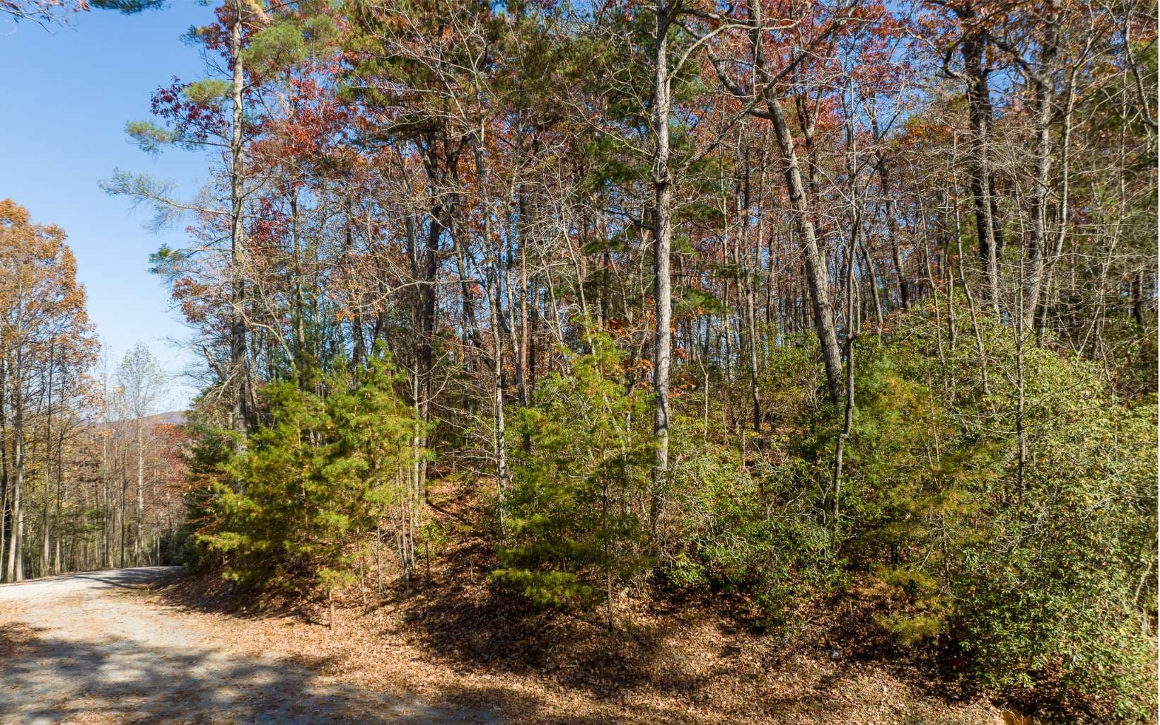 LOT 40 Preserve Trail, Ellijay GA 30536 - Photo