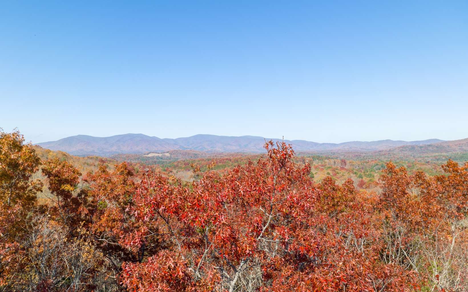 LOT 40 Preserve Trail, Ellijay GA 30536 - Photo