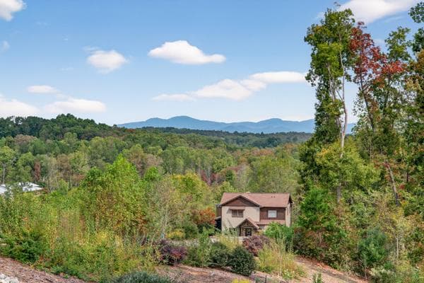320 Amber Ridge, Blue Ridge GA 30513 - Photo
