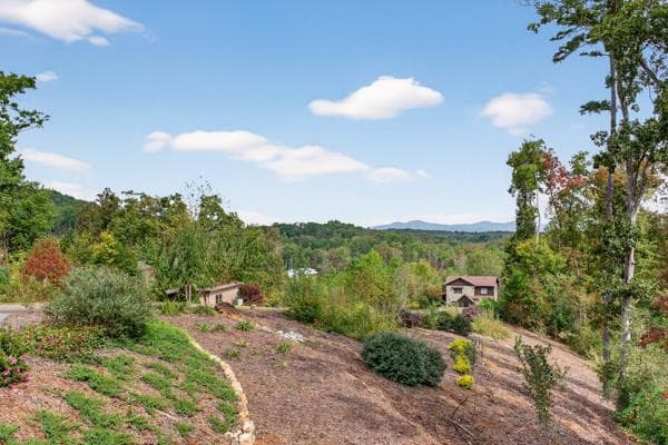 320 Amber Ridge, Blue Ridge GA 30513 - Photo
