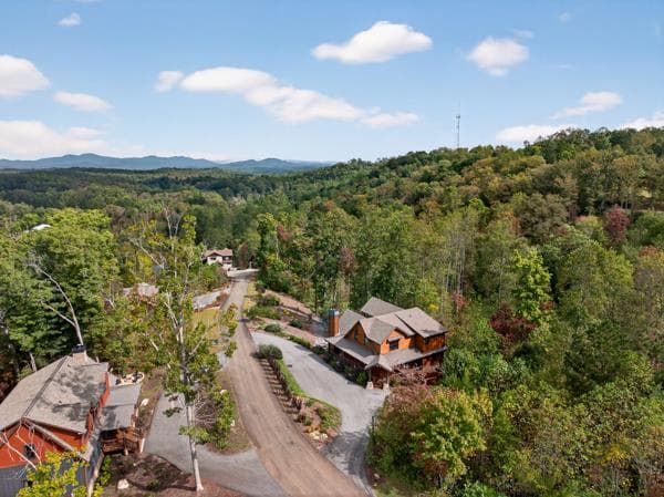 320 Amber Ridge, Blue Ridge GA 30513 - Photo