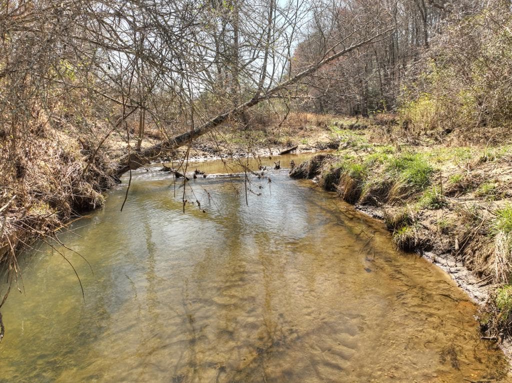 48.4ac Lofty Heights, Mineral Bluff GA 30559 - Photo