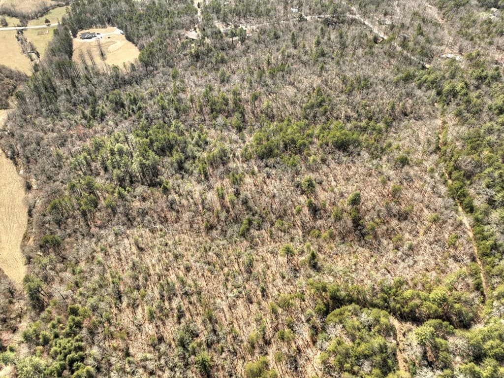 48.4ac Lofty Heights, Mineral Bluff GA 30559 - Photo