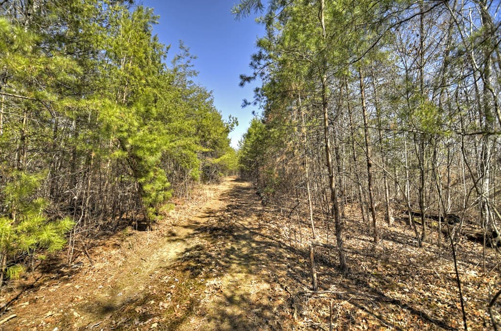 48.4ac Lofty Heights, Mineral Bluff GA 30559 - Photo