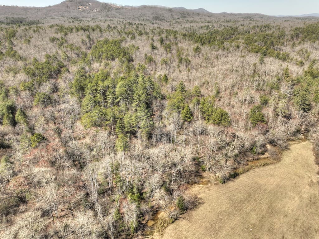 48.4ac Lofty Heights, Mineral Bluff GA 30559 - Photo