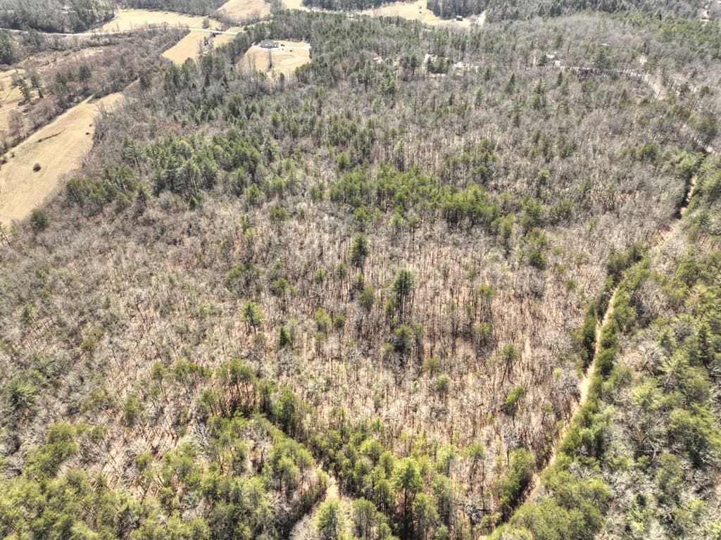 48.4ac Lofty Heights, Mineral Bluff GA 30559 - Photo