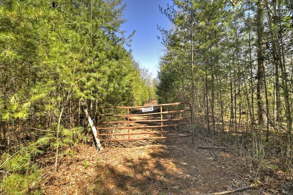 48.4ac Lofty Heights, Mineral Bluff GA 30559 - Photo