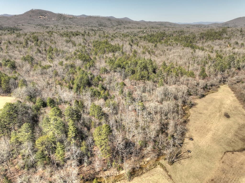 48.4ac Lofty Heights, Mineral Bluff GA 30559 - Photo
