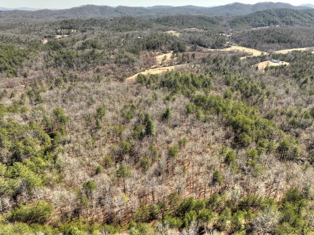 48.4ac Lofty Heights, Mineral Bluff GA 30559 - Primary photo