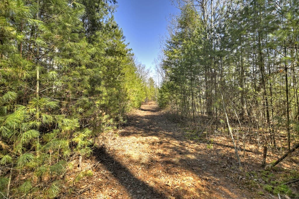 48.4ac Lofty Heights, Mineral Bluff GA 30559 - Photo