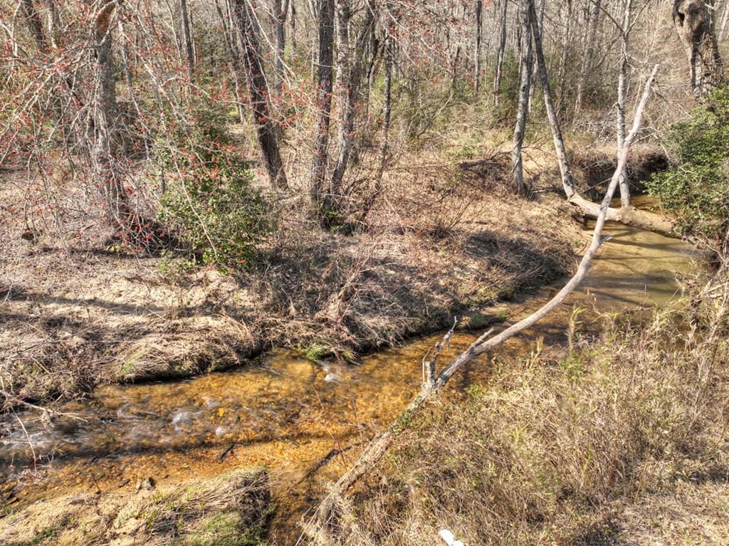 48.4ac Lofty Heights, Mineral Bluff GA 30559 - Photo