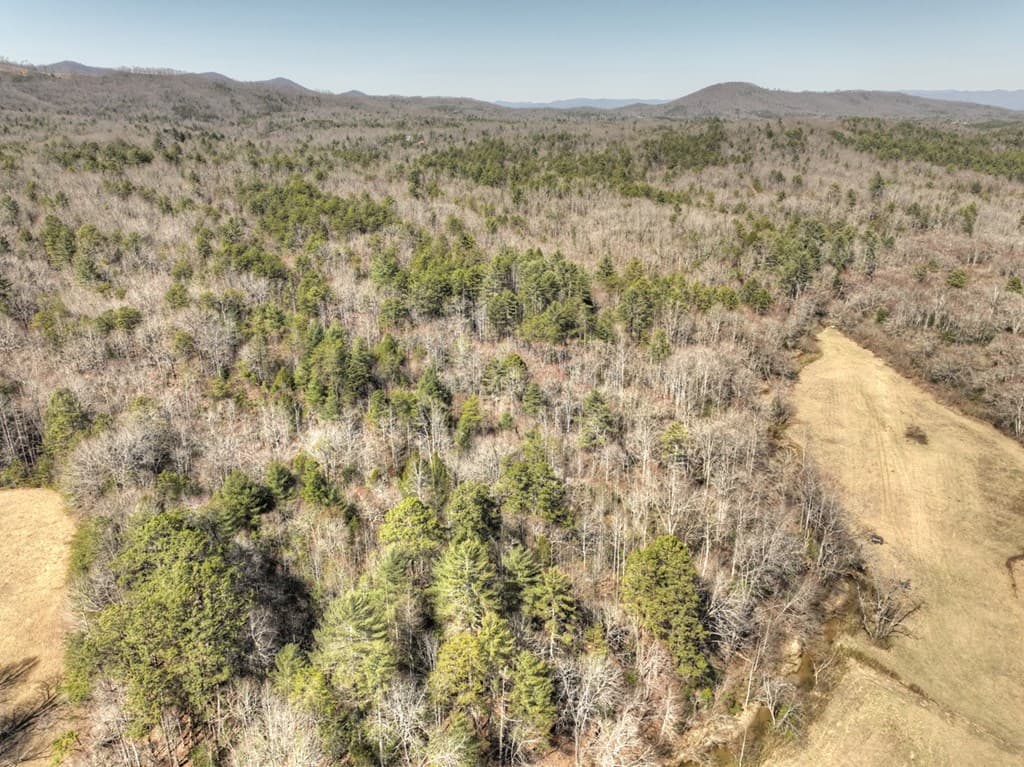 48.4ac Lofty Heights, Mineral Bluff GA 30559 - Photo