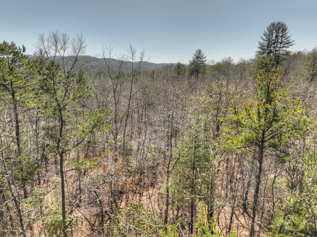 48.4ac Lofty Heights, Mineral Bluff GA 30559 - Photo