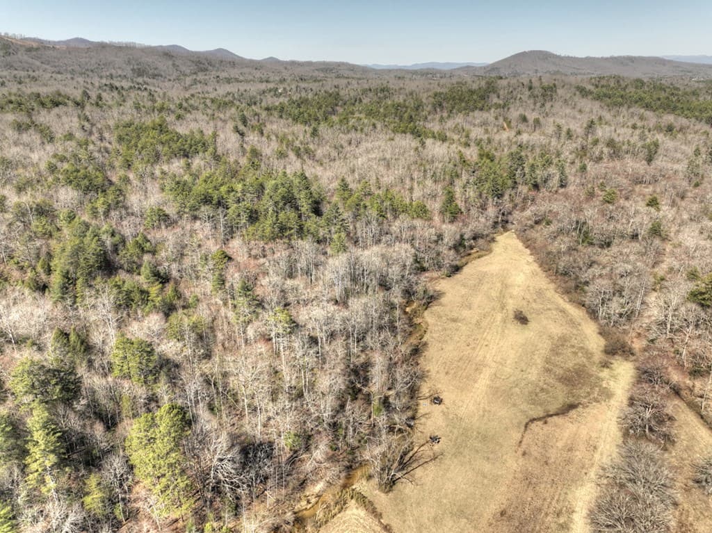 48.4ac Lofty Heights, Mineral Bluff GA 30559 - Photo