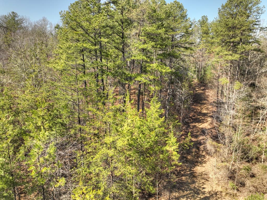 48.4ac Lofty Heights, Mineral Bluff GA 30559 - Photo