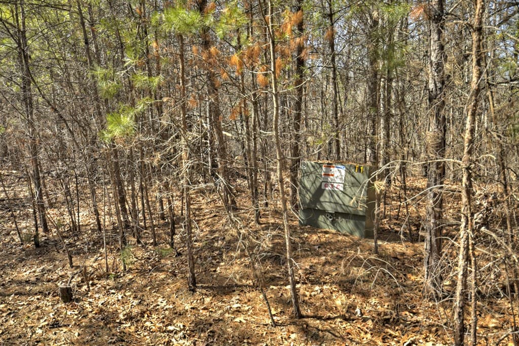 48.4ac Lofty Heights, Mineral Bluff GA 30559 - Photo