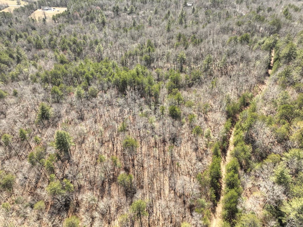 48.4ac Lofty Heights, Mineral Bluff GA 30559 - Photo