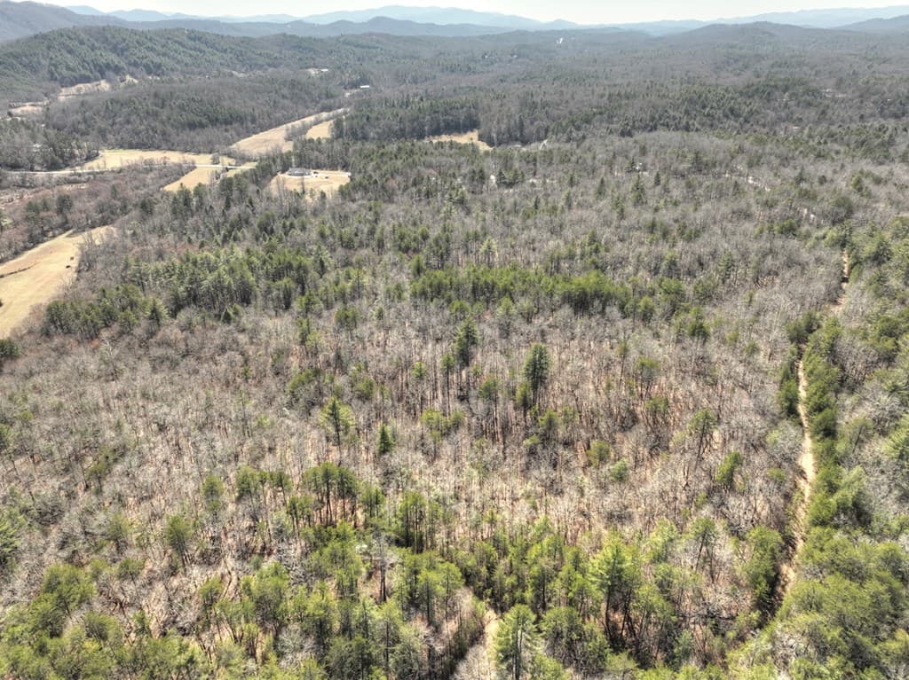 48.4ac Lofty Heights, Mineral Bluff GA 30559 - Photo