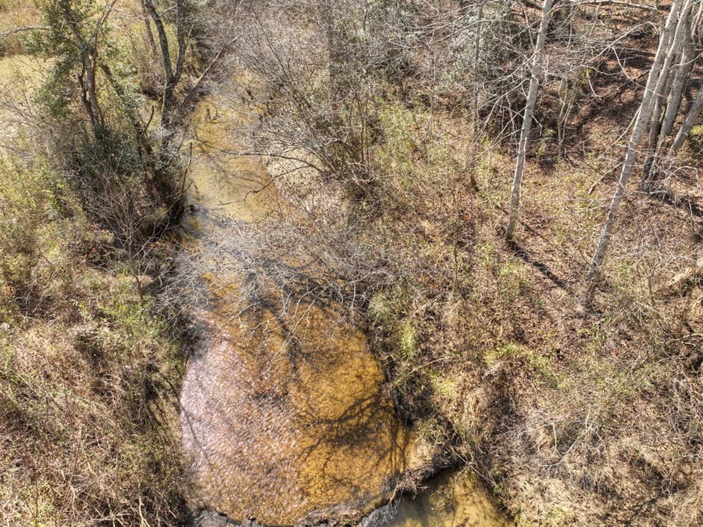 48.4ac Lofty Heights, Mineral Bluff GA 30559 - Photo